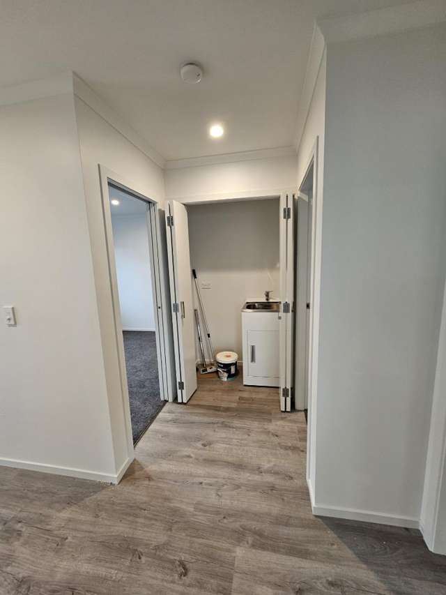 B/141 Bedford Street 10944_2