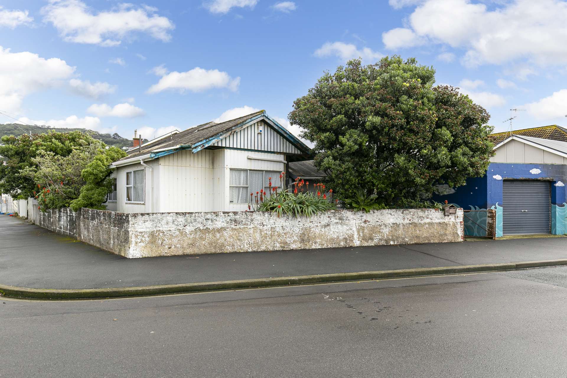 80 Apu Crescent Lyall Bay_0