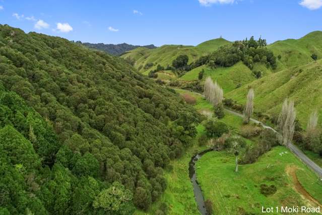 Lot 1 Moki Road, Tahora Taumarunui_3