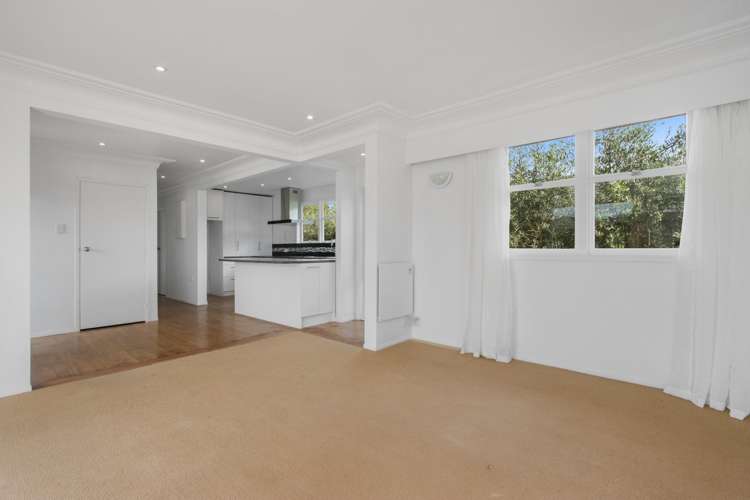 5a Hyde Street Katikati_12