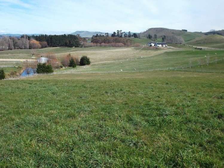 27 Jg Wilson Drive Waipukurau and Surrounds_11