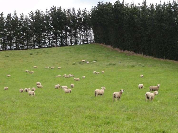 573 Glenmark Drive Waipara_8