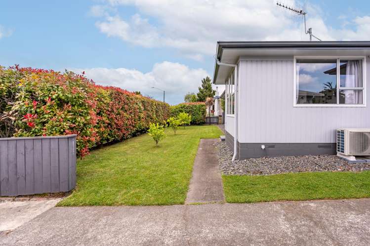 42 Plunket Street Tamatea_14