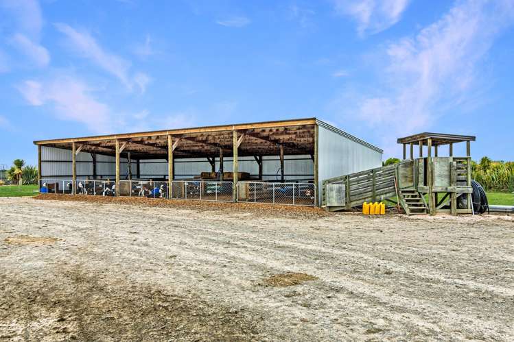 1375 Ashburton Staveley Road Ashburton Forks_8