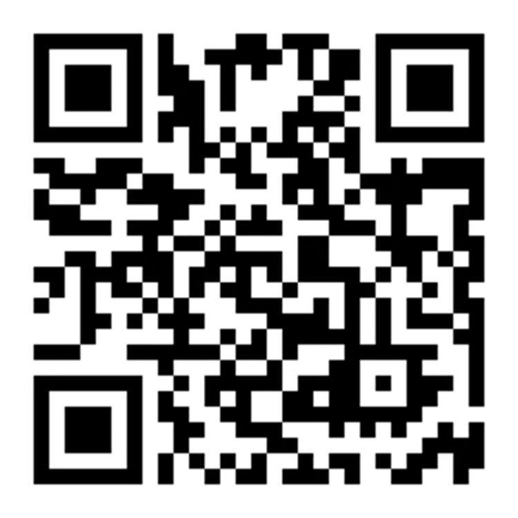 39 Rydal Street Hoon Hay_17