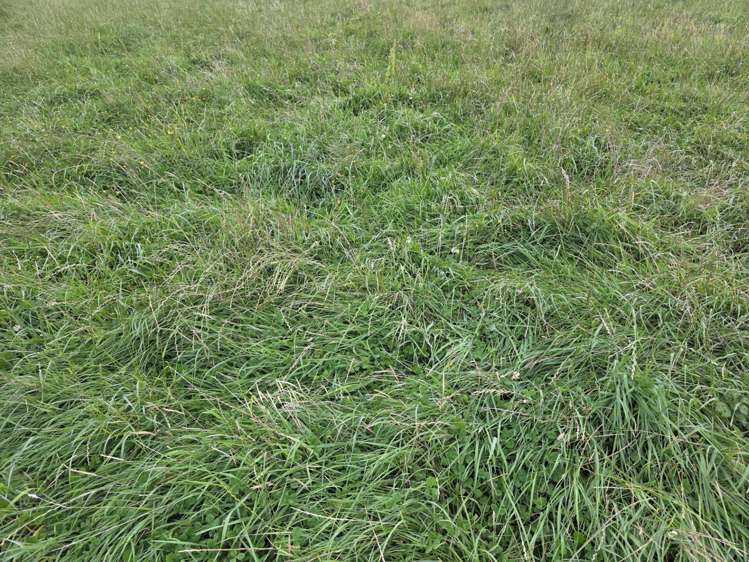 16 Northbrook Road Rangiora_17