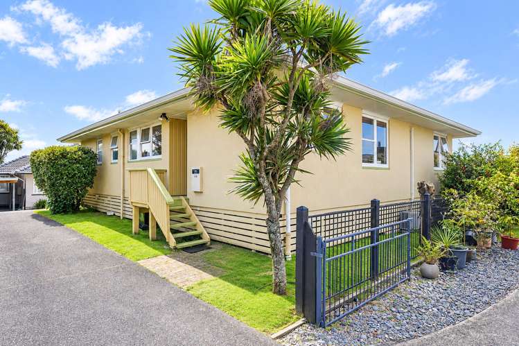 87B Mansels Road Greerton_9