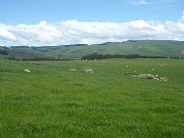 902 Moa Flat Road Ettrick_14