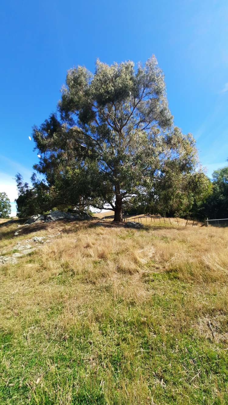 746 Clutha River Road Rongahere_39