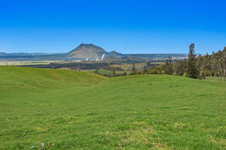 950 Braemar Road Rotoma_4