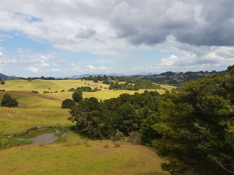 160 Otuhi Road Mangapai and Surrounds_21