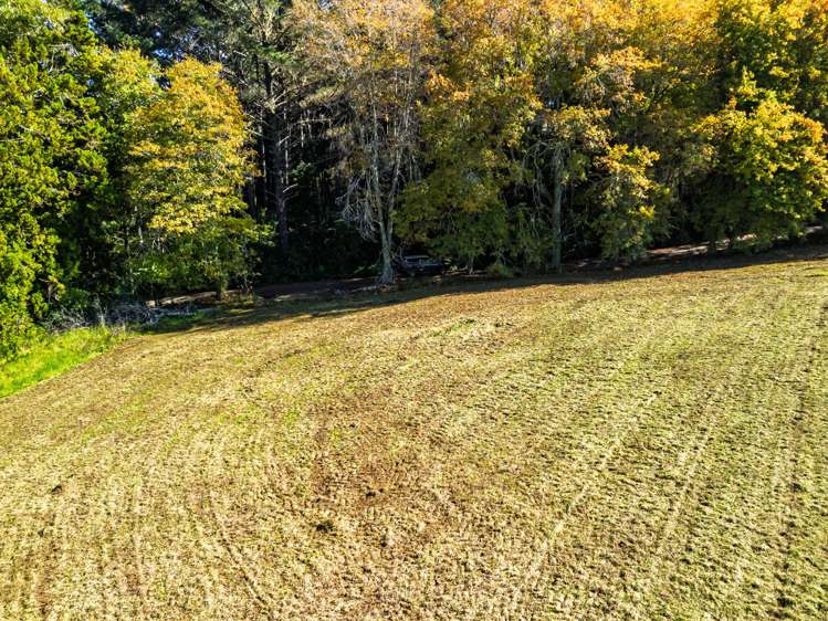 Lot 1/26 Tanekaha Lane_5