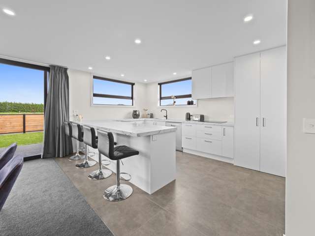 45 Ashbury Drive Tinwald_1