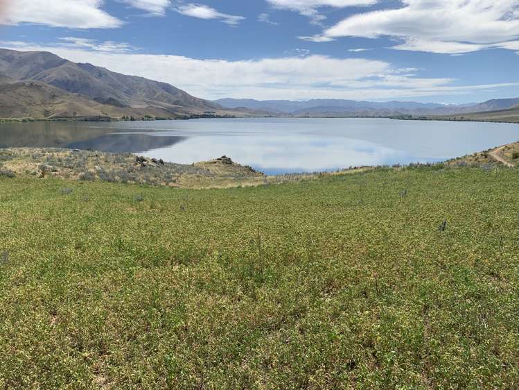 3570 Omarama-Otematata Road Otematata_14