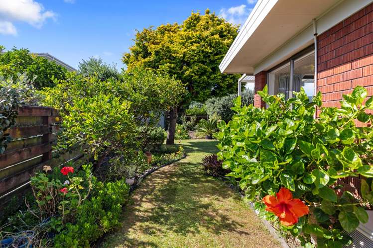 40B Waitui Grove Mount Maunganui_16