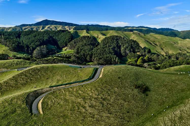 Lot 2,3 and 5/1275 Paekakariki Hill Road Paekakariki Hill_18