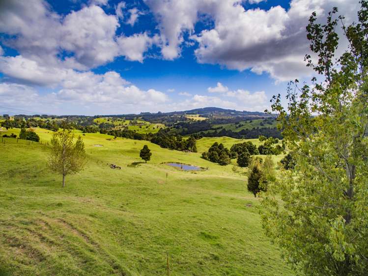 232 Otuhi Road Mangapai and Surrounds_10