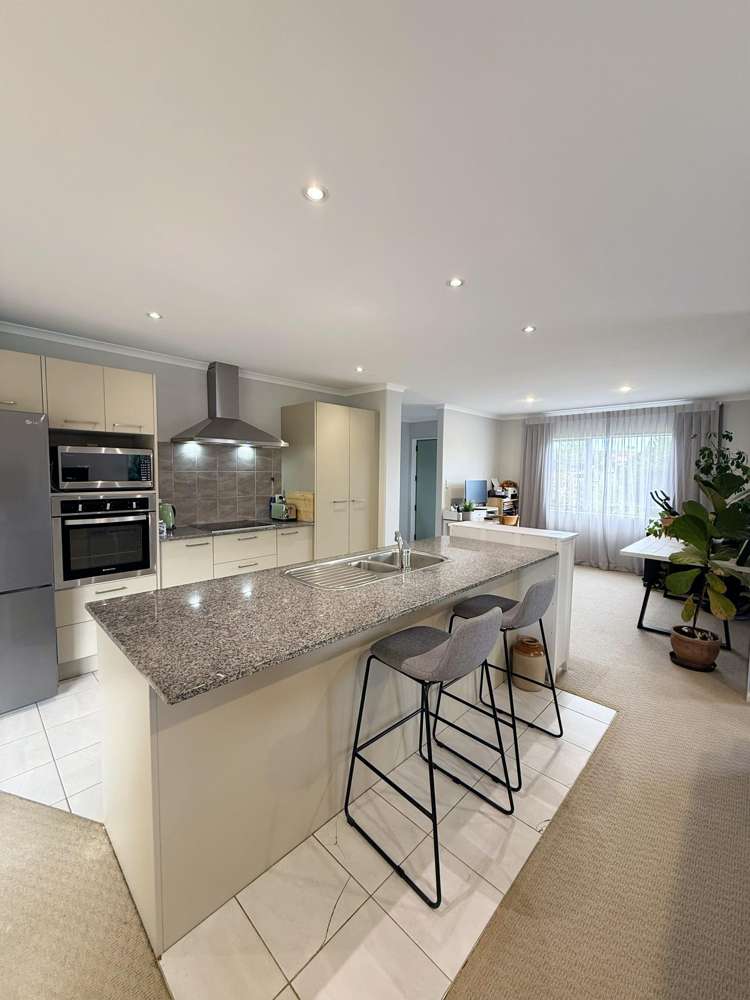 3 Savona Drive Flat Bush_7