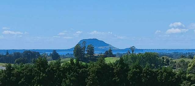 233 Waipapa Block Road Whakamarama_2