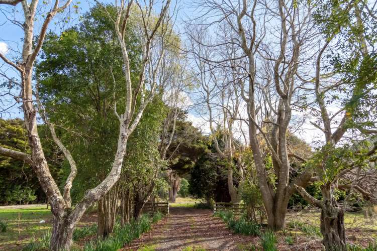 427 Tinui Valley Road Tinui_18