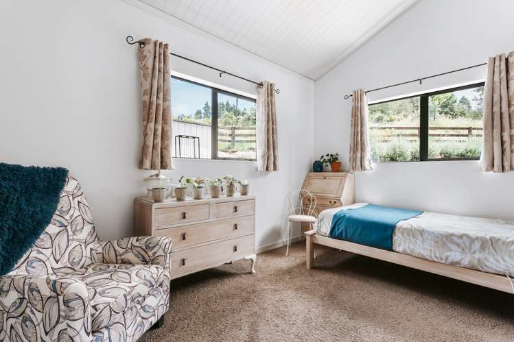 81b Oropi Gorge Road Pyes Pa_12