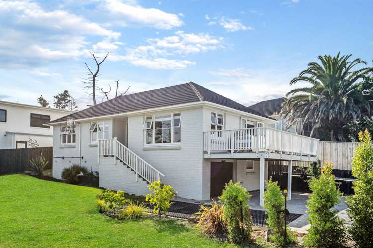 61 Holly Street Avondale_18