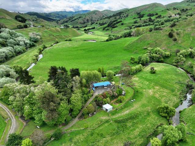 3890 Matawai Road Te Karaka_1