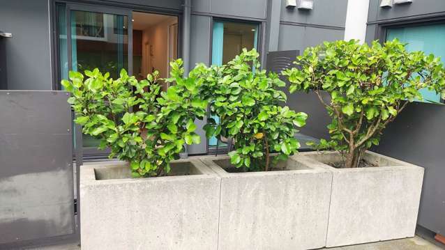 150/6 Dockside Lane Auckland Central_1