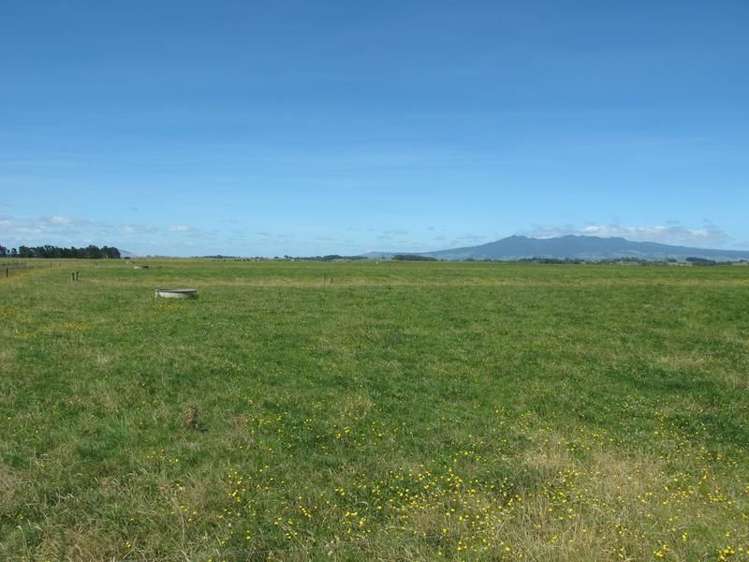 2/795 Tuhikaramea Road Ngahinapouri_16