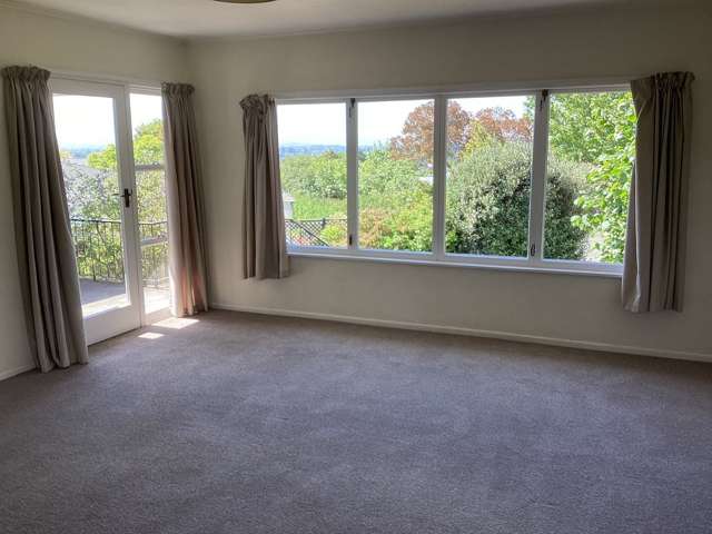 44 Chambers Street Havelock North_2