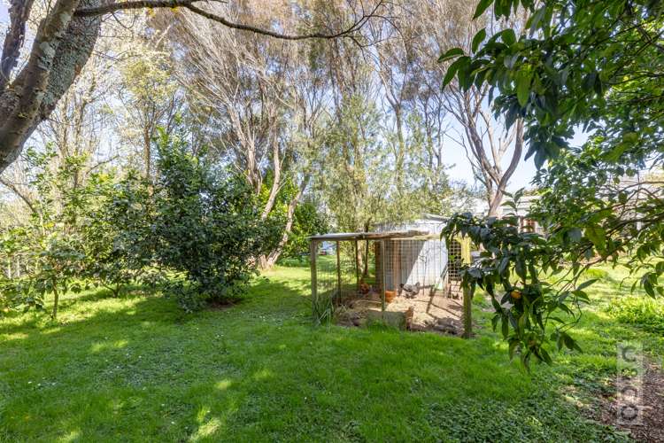 9 Elliot Street Riverhead_17