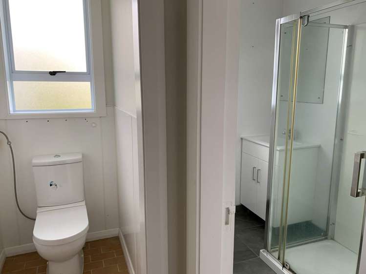 21b Horotutu Road Greenlane_6