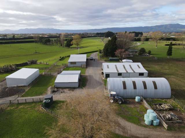 19 Puketutu Road Matamata_3