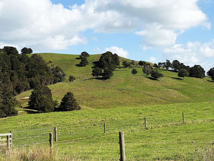 435 Parahi Road Ruawai_22