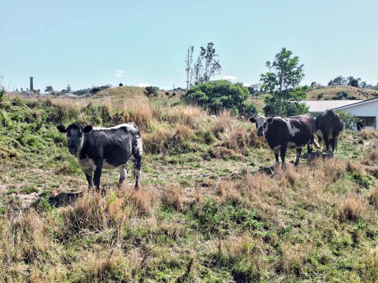 47 Ngatarua Road Putiki_22