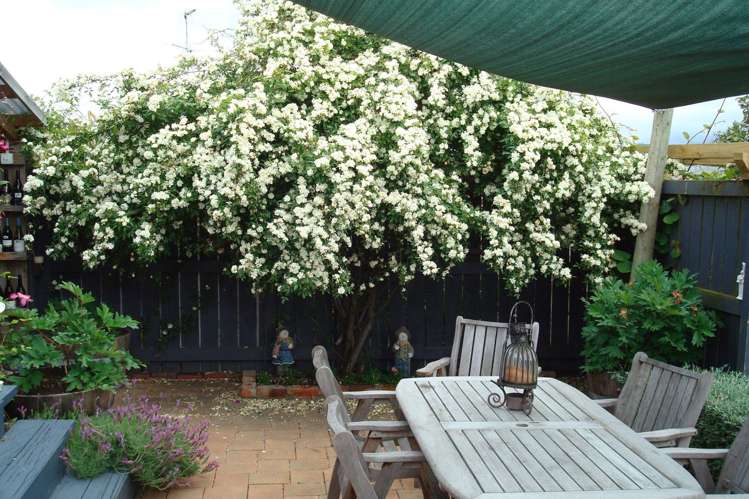 9 Wilson Street Renwick_13