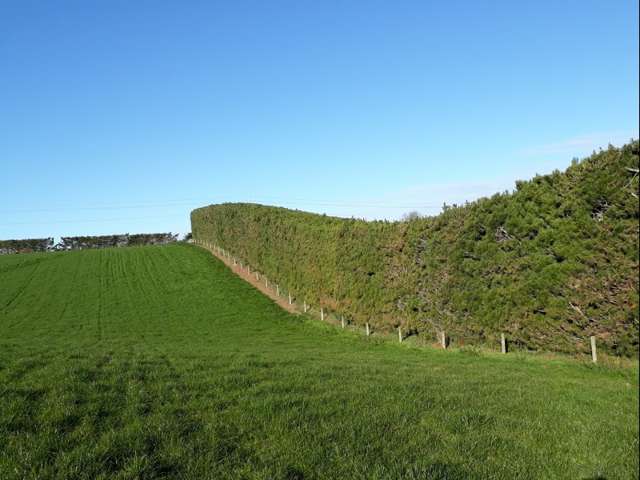 211 Whitstone-Five Forks Road Five Forks and Surrounds_1