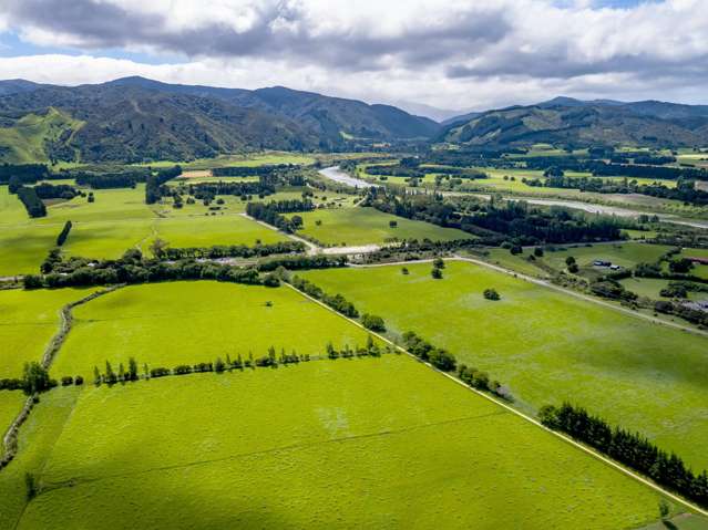 277a Woodside Road Greytown_4