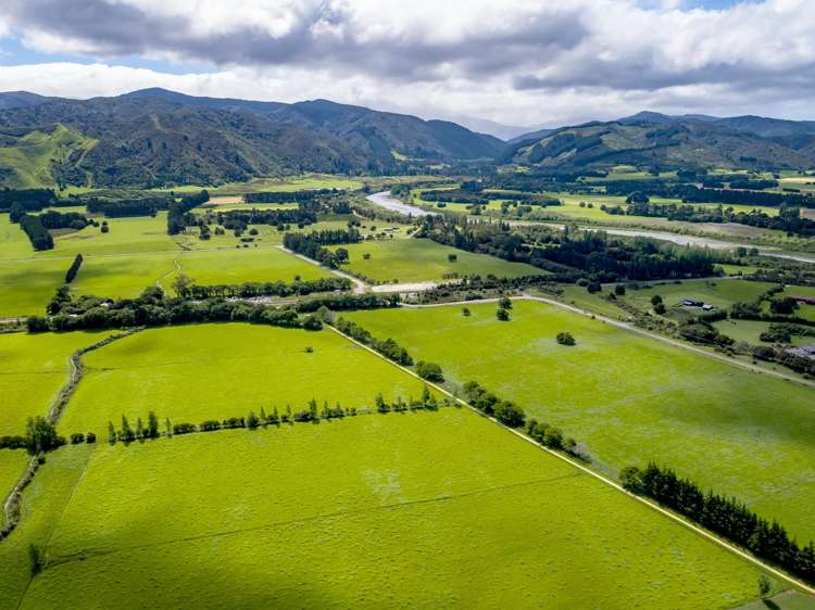 277a Woodside Road Greytown_4