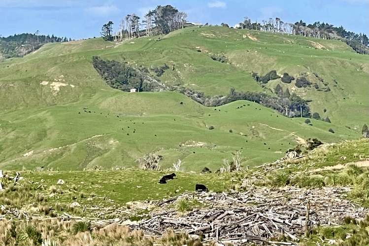 3716 Kaipara Coast Highway Mangakura_14