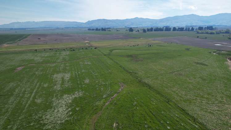 51 Saint Bathans Loop Road Becks_35