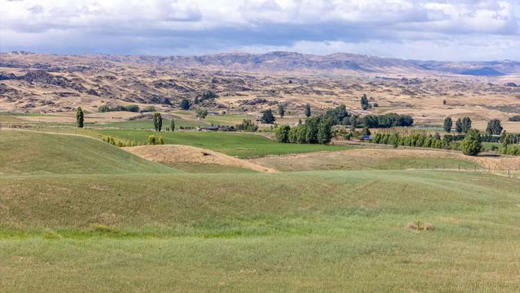 Lot/12A Kinney Road Chatto Creek_18