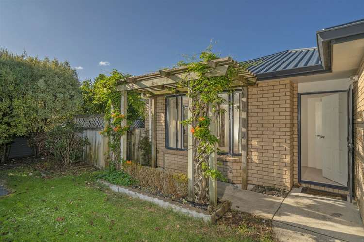 4a Nicholas Avenue Whitianga_18