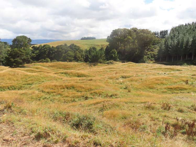 507 Otope Road Dannevirke_18