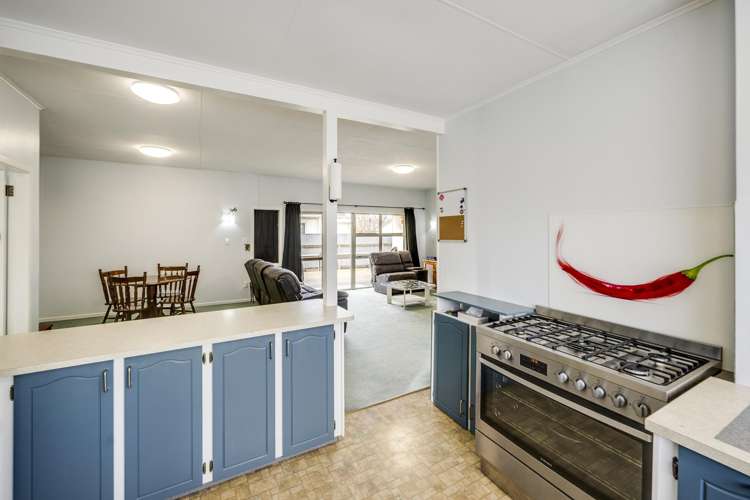 505 Terrace Road Parkvale_10