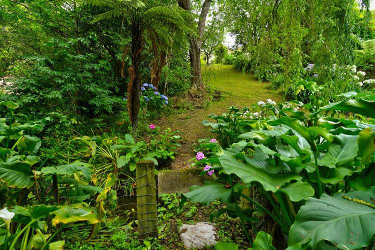 66 Titoki Street Masterton_23