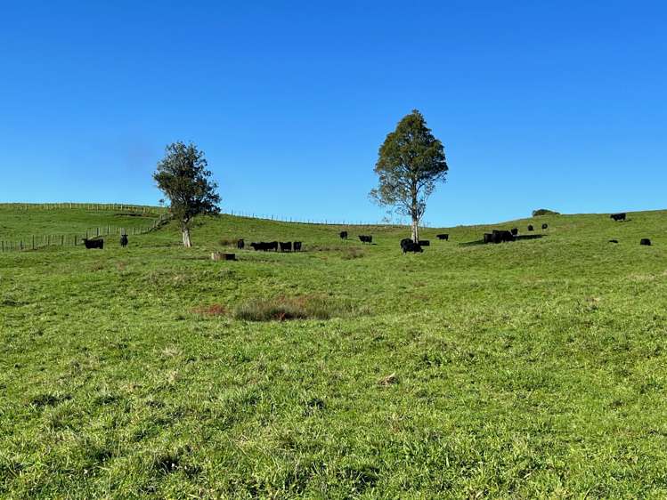 401 Waikaretu Valley Road Glen Murray_20