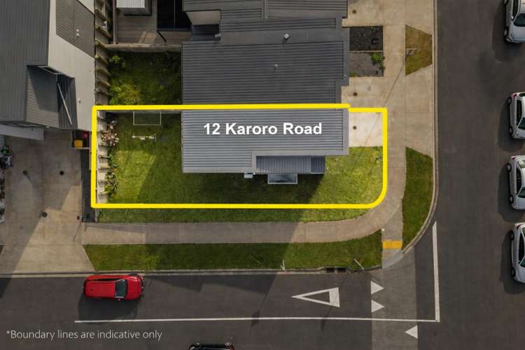 12 Karoro Road Flat Bush_12