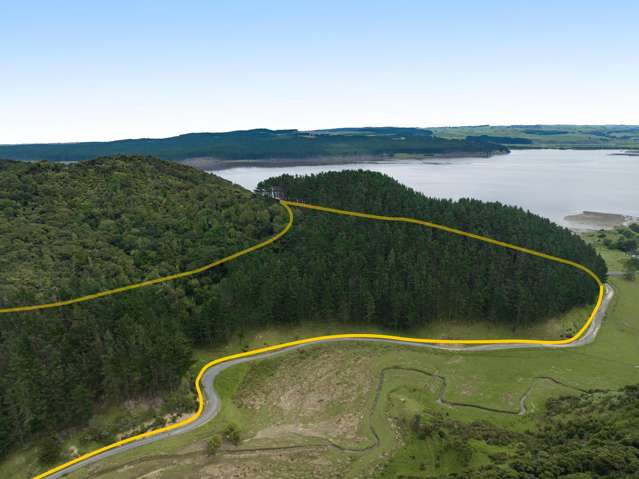 1771 Klondyke Road Port Waikato_2