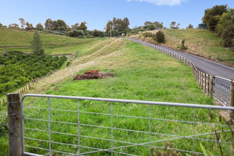 145A Whakamarama Road Whakamarama_24
